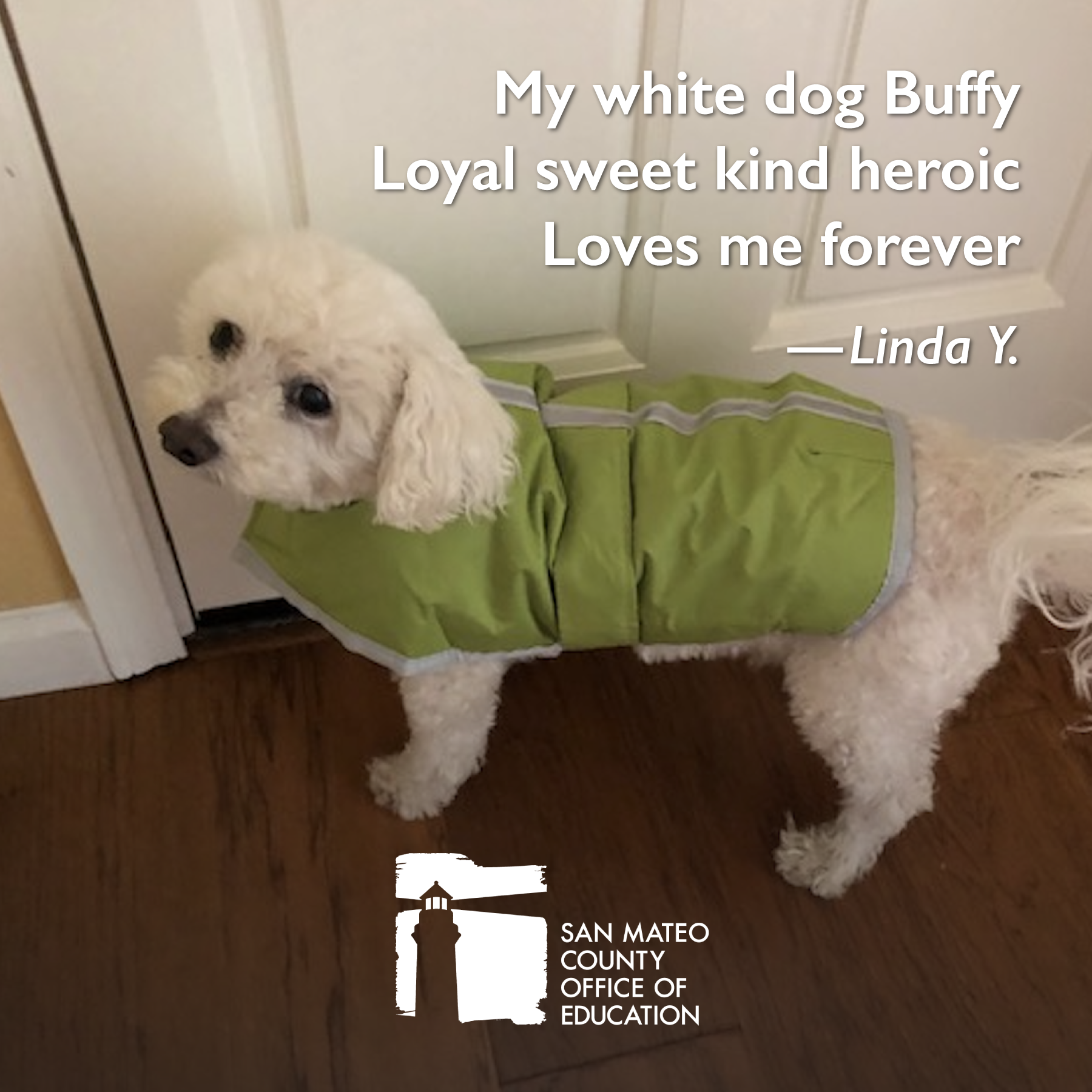My white dog Buffy Loyal sweet kind heroic Loves me forever. Written by Linda Y.
